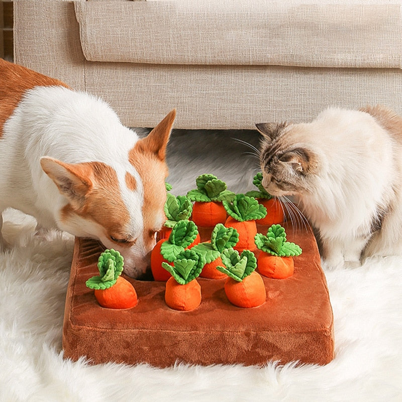 Carrot Chew Toy for Dogs and Cats, Pet Chewing Accessory, Improve Eating Habits